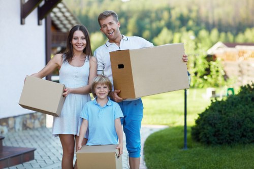 Final review of a removals complaint with clear professional resolution